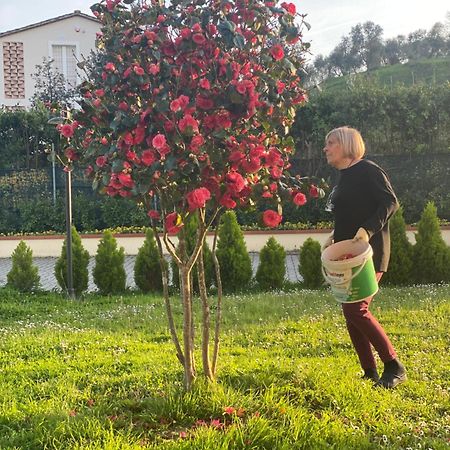 Apartament Casa Isabelle Canneto  Zewnętrze zdjęcie