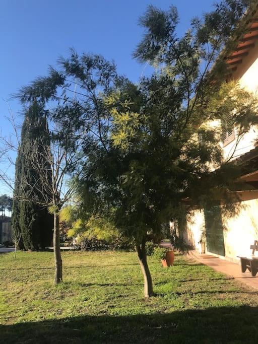 Apartament Casa Isabelle Canneto  Zewnętrze zdjęcie
