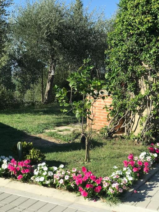 Apartament Casa Isabelle Canneto  Zewnętrze zdjęcie