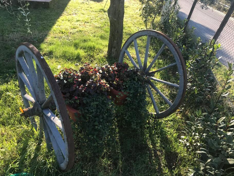 Apartament Casa Isabelle Canneto  Zewnętrze zdjęcie